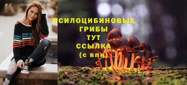 apvp Бронницы
